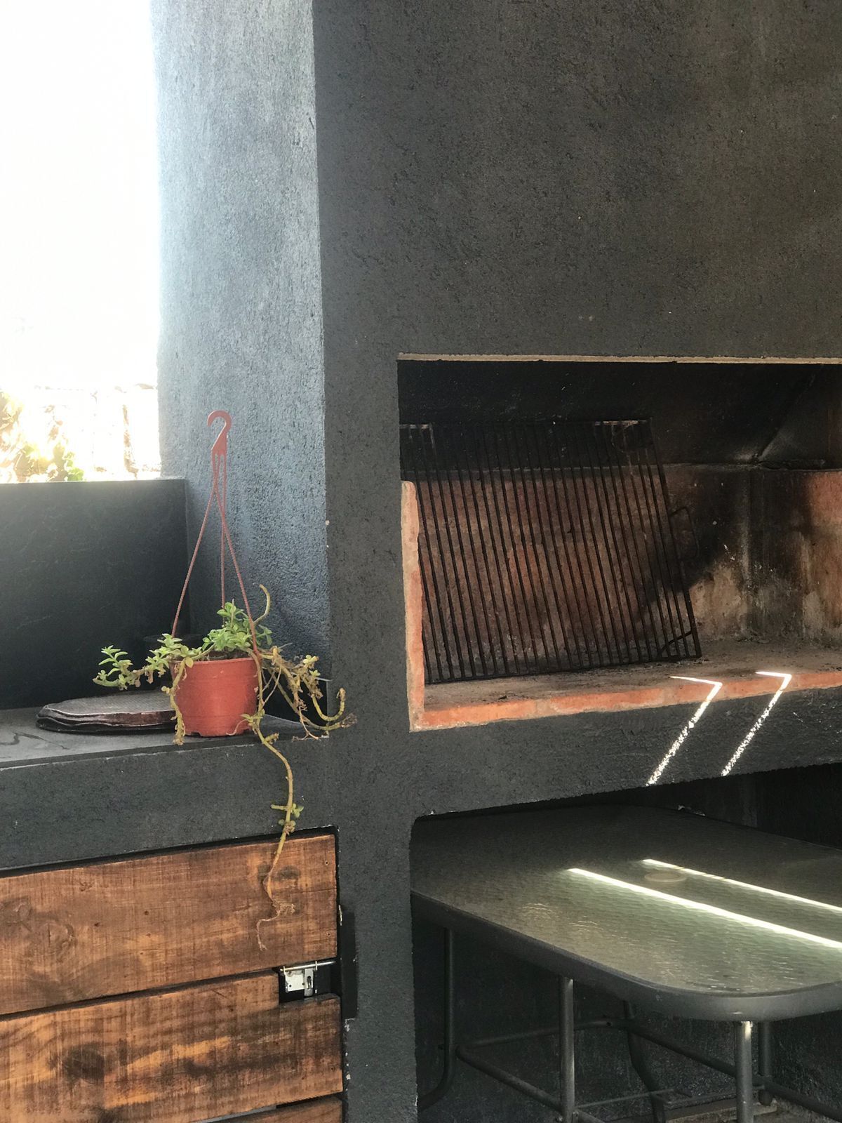 Een moderne keuken met een ingebouwde grill, houten kastjes en een hangende plant.