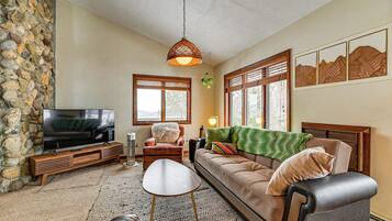 TV, fireplace, books