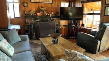 Televisión, chimenea y reproductor de DVD