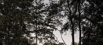 Luxury Cabin with Waterfront View