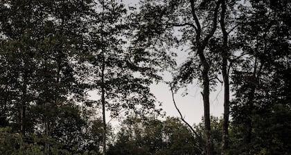 Luxury Cabin with Waterfront View