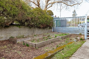 Ein Garten mit erhöhten Beeten, einem Holzzaun und einer Betonmauer.
