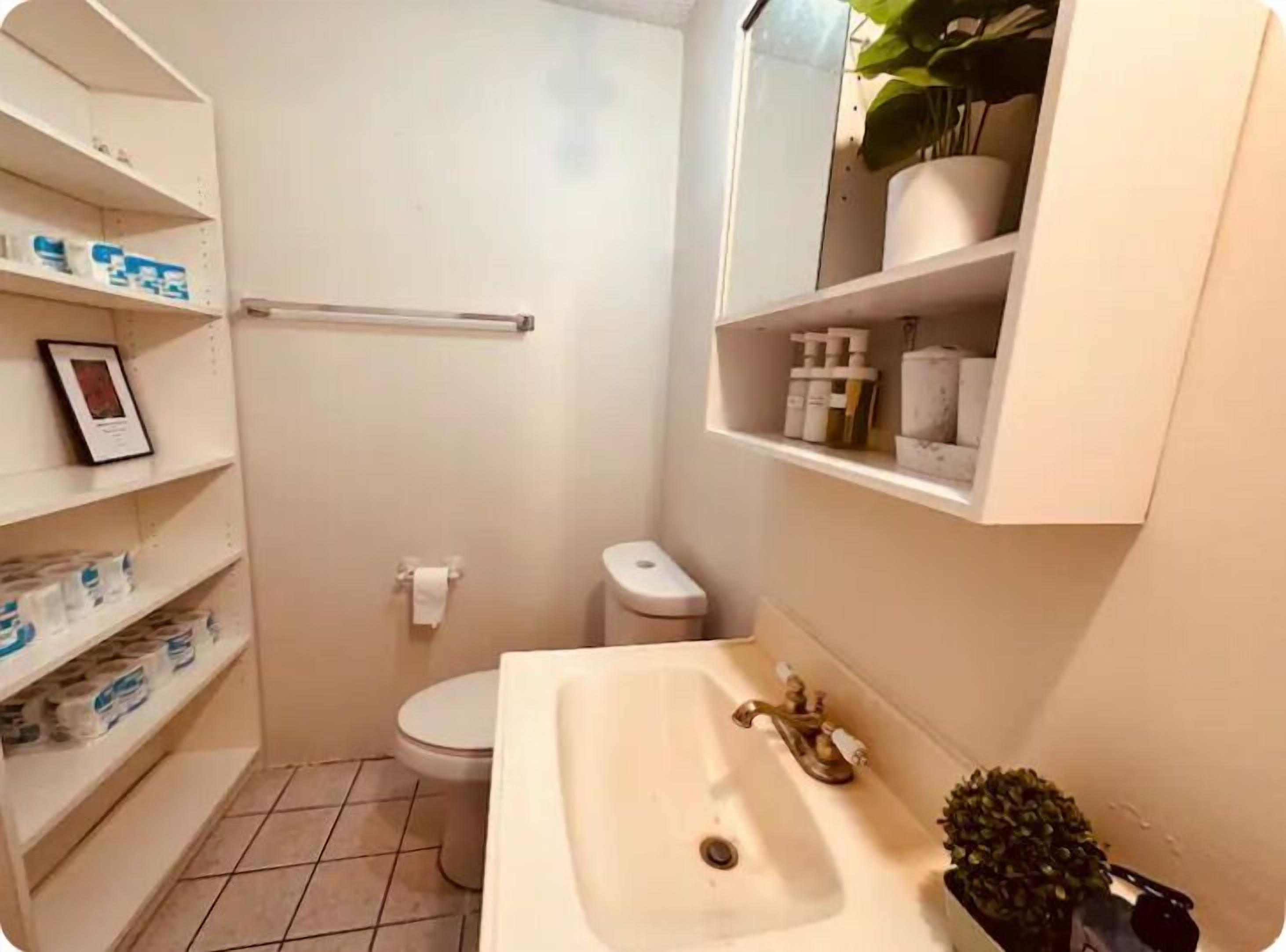 Secador de cabelo, toalhas de banho, papel higiênico 