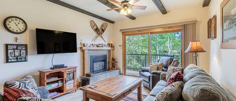 TV, fireplace