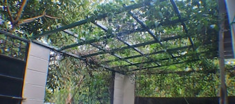 Copinol 68