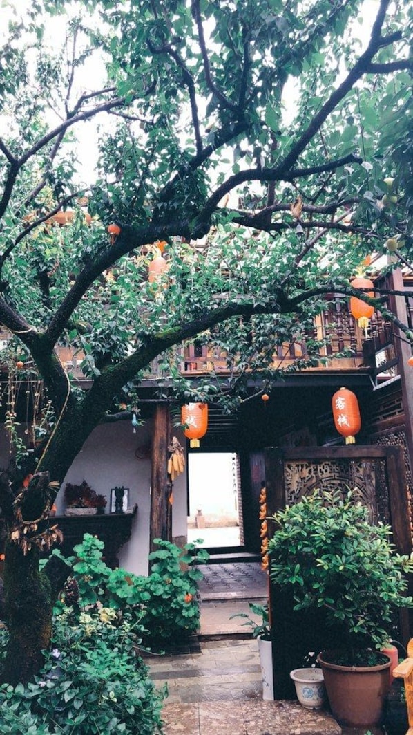 Un patio tradicional con un árbol grande, plantas en macetas y faroles colgantes.