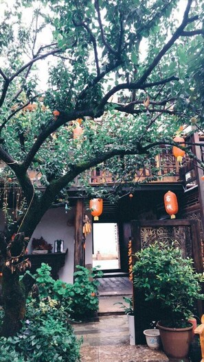 Jardin