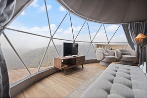 Smart TV, books - "Sunrise Summit" - Overlook Dome 004 in RRG (Stanton)