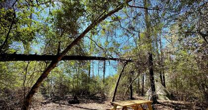 Christian Retreat Campsite #2 - Cozy Canopy