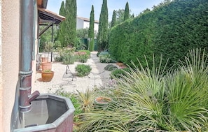 A garden with potted plants, a metal bench, and tall trees.