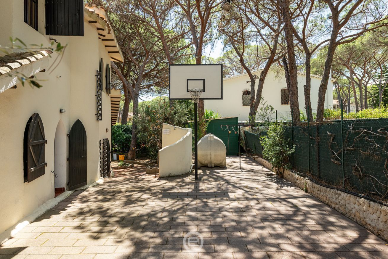 A basketball court with a hoop, surrounded by trees and a stone wall.