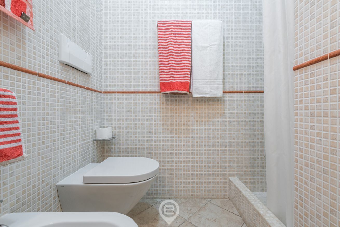 Ein Badezimmer mit Toilette, Duschbereich und gefliesten Wänden.