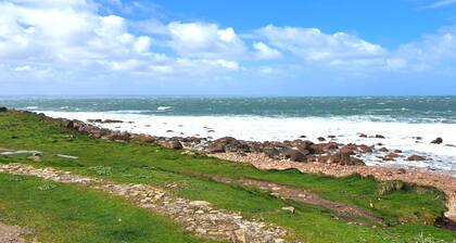 Appartement acceptant les animaux de.