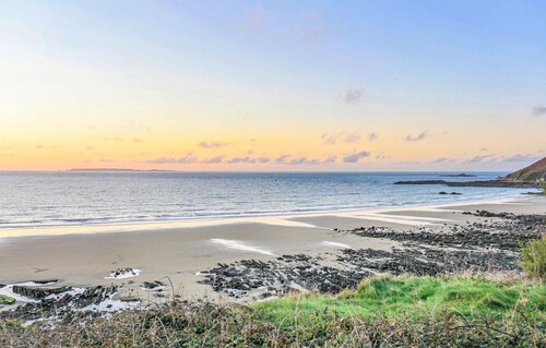 Pet friendly apartment