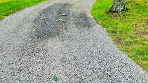 Ein Feldweg schlängelt sich durch ein bewaldetes Gebiet, im Hintergrund ein Haus.