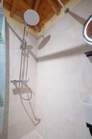 Shower, towels, soap, toilet paper