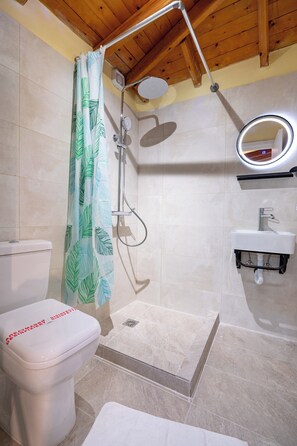 Shower, towels, soap, toilet paper