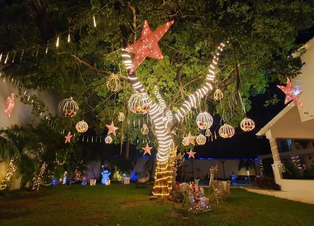 A tree decorated with lights and ornaments, including stars and spherical lights, in a garden setting.