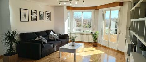 TV, computer monitors