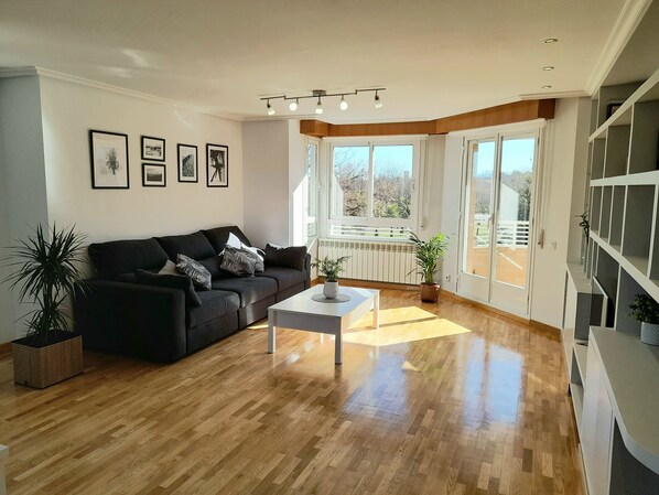 TV, computer monitors