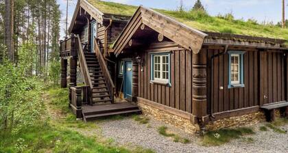 Wi-Fi | Grill | Pets allowed | Drying cabinet