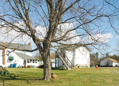 Glamping in our 100 year old rustic bunkhouse on a 20 acre working horse farm !