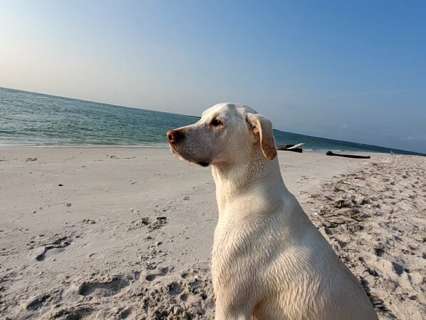 Plage à proximité