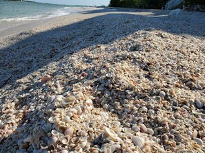 Sun-loungers, beach towels - Private Island Paradise: Pool, Golf Cart, 360 Views & Dog Friendly! (Lee County)