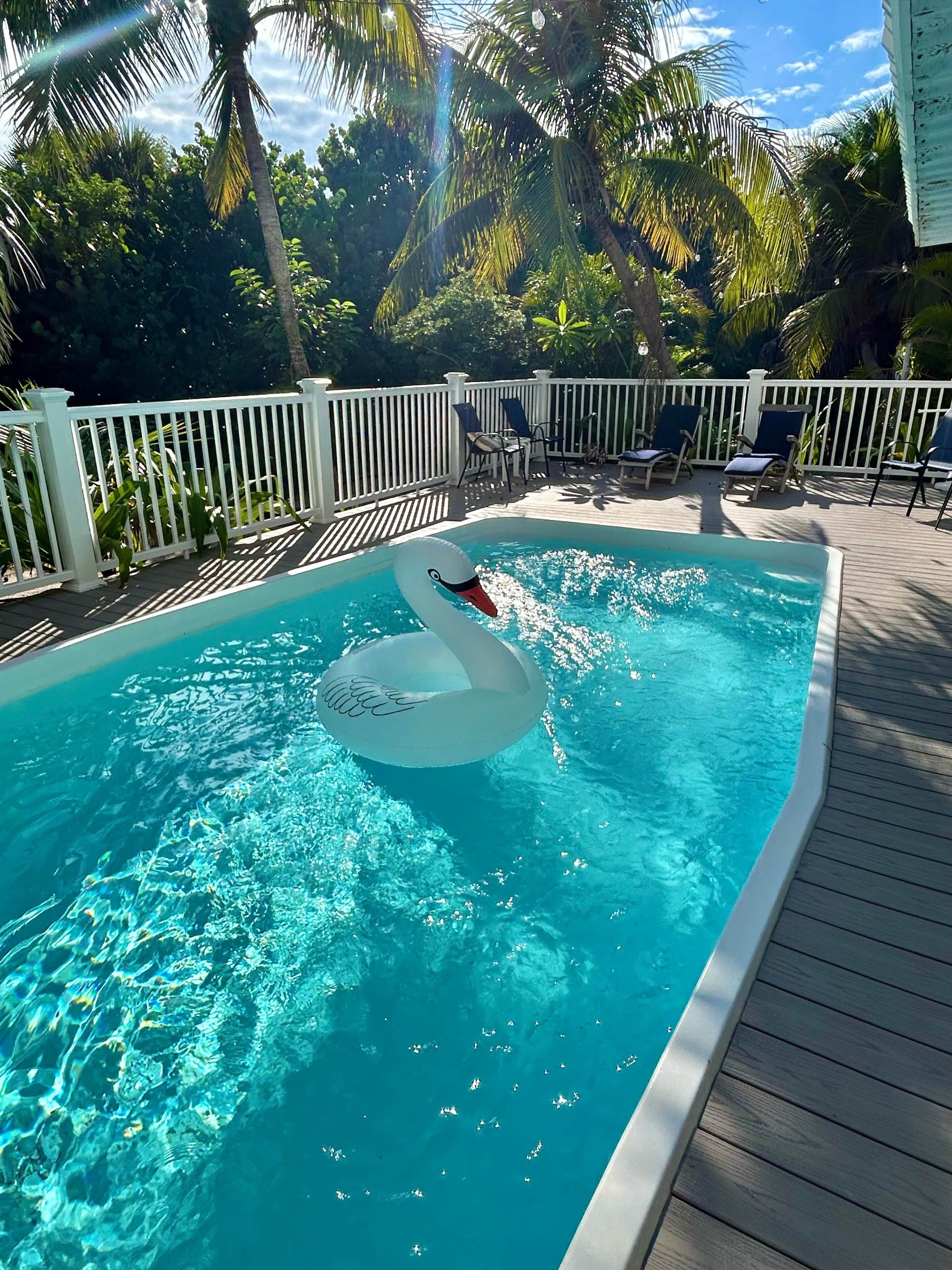 A swimming pool with a swan float, surrounded by a wooden deck and white fence, with palm trees in the background.