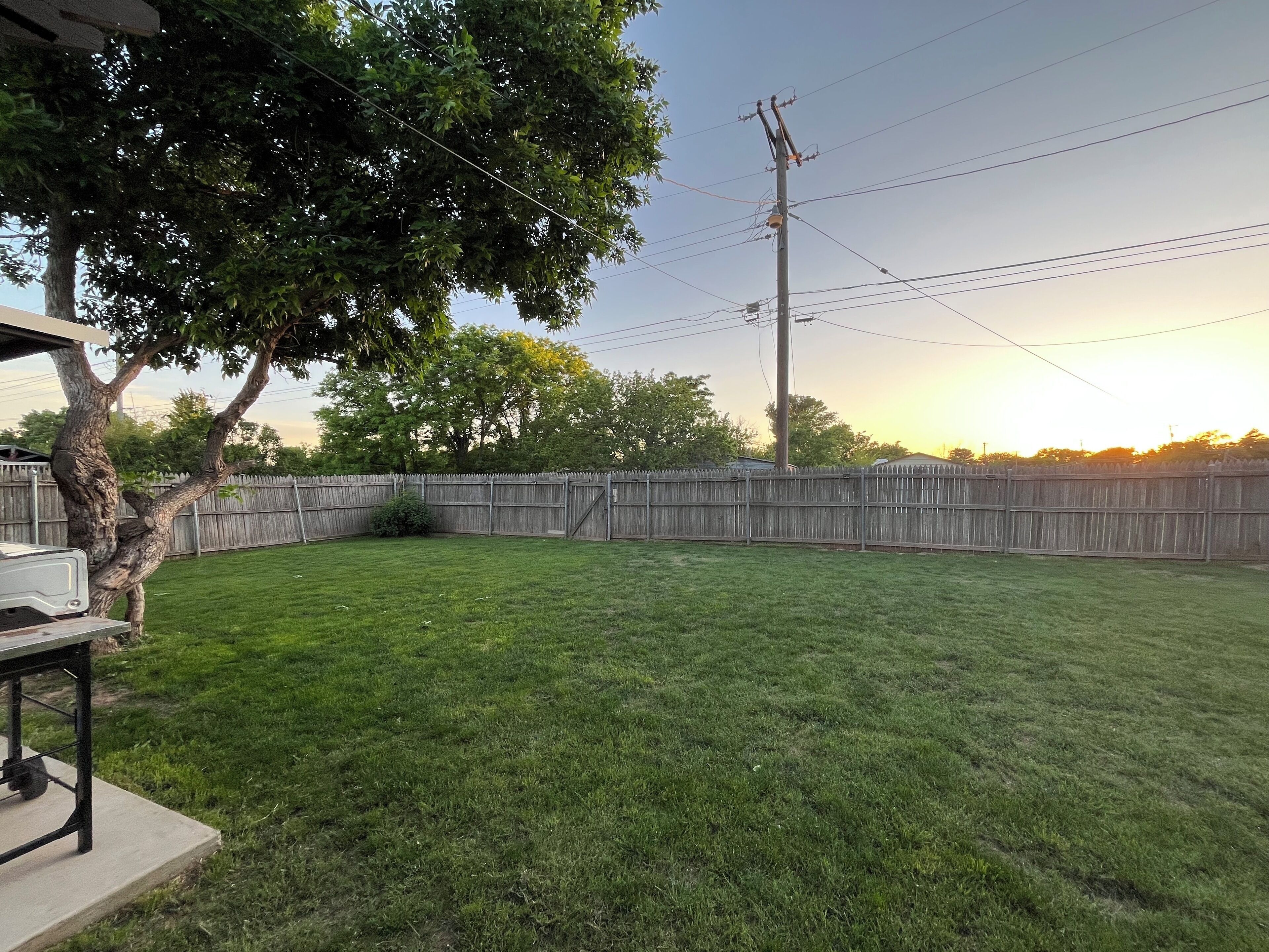 A backyard with a wooden fence, a tree, and a utility pole.