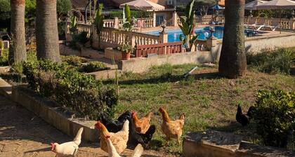 Holiday Home 'Alegria' with Mountain View, Private Pool and Wi-Fi