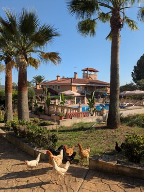Parco della struttura