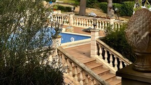 Un área de piscina con solárium empedrado, barandilla de piedra y palmeras.