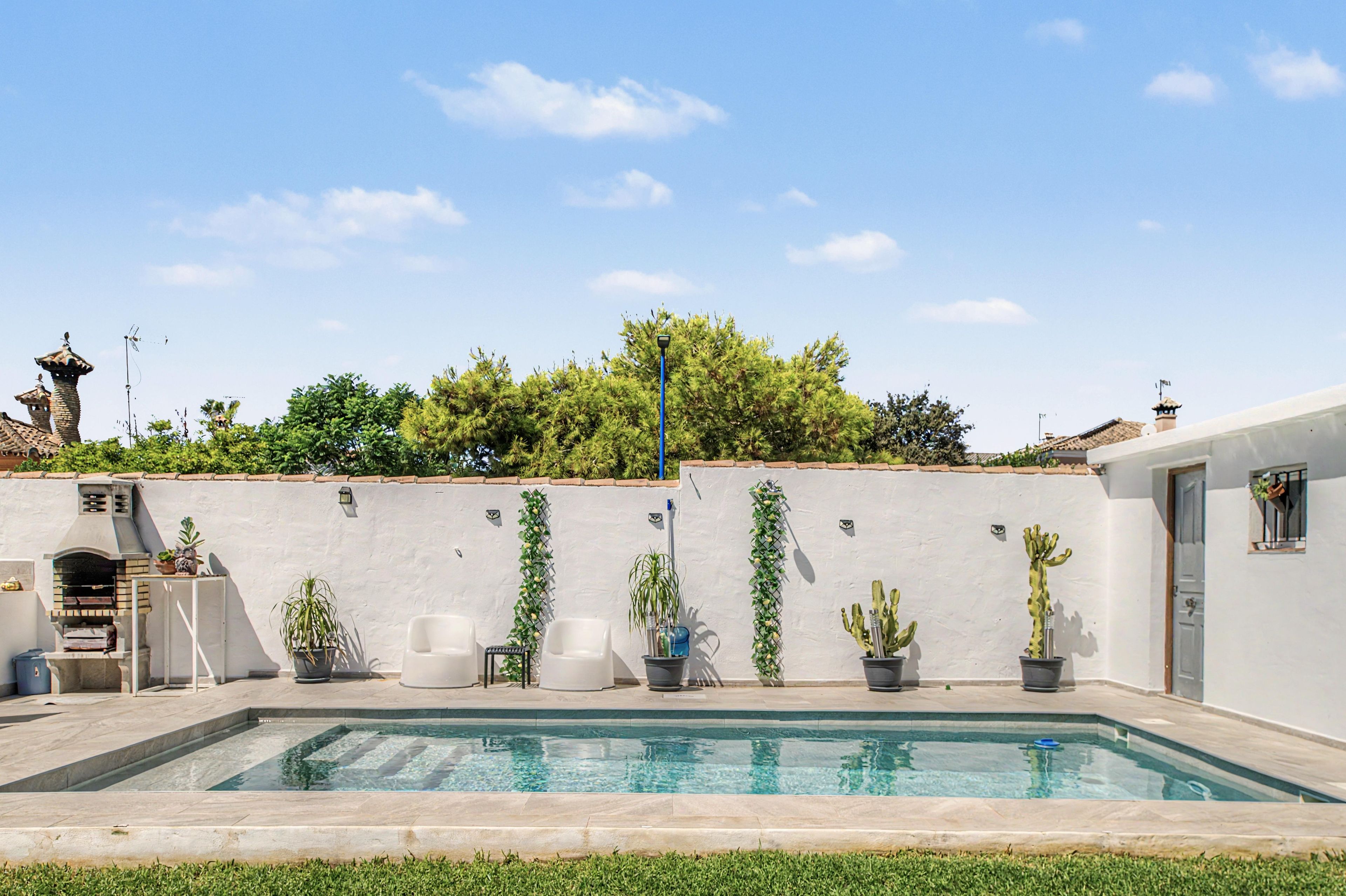 A swimming pool with a white wall and potted plants.