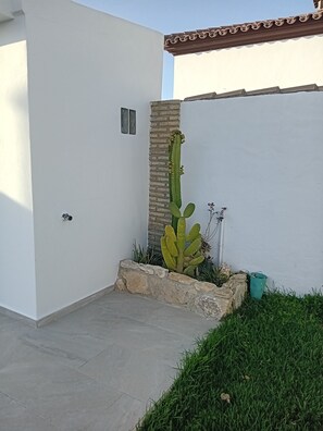 A cactus in a planter, a stone wall, and a tiled patio area.