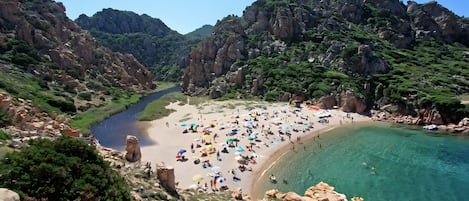 Nära stranden