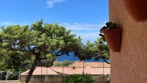 A view of a coastal area with a clear sky, a large tree, and a building with a red roof.