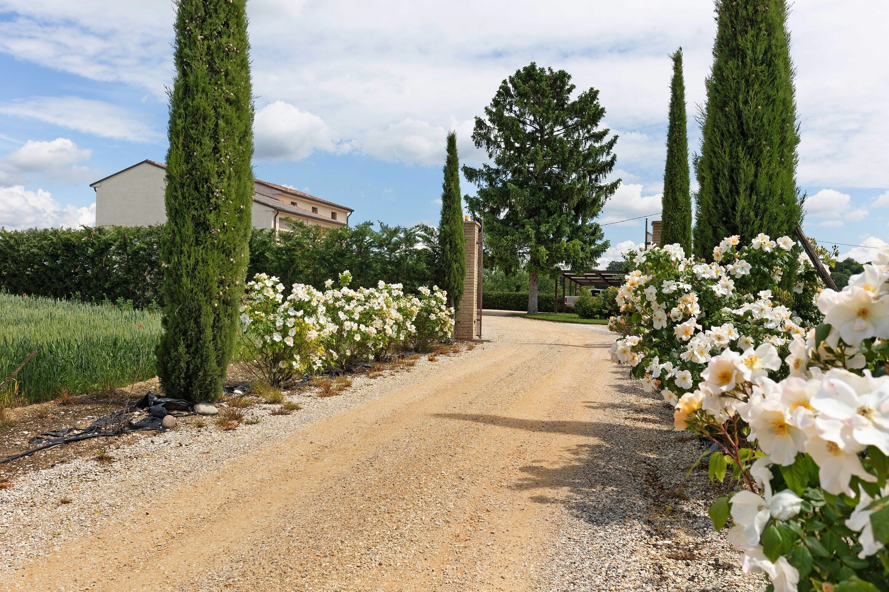 Áreas de la propiedad
