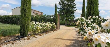 Parco della struttura