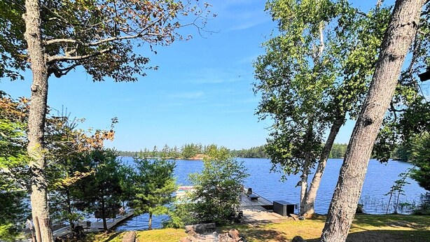 A hammock in a grassy area with trees and a lake in the background. - Welcome to the Wolf Den on Wolf Lake! (North Lawartha)