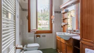 Shower, hair dryer, bidet, towels