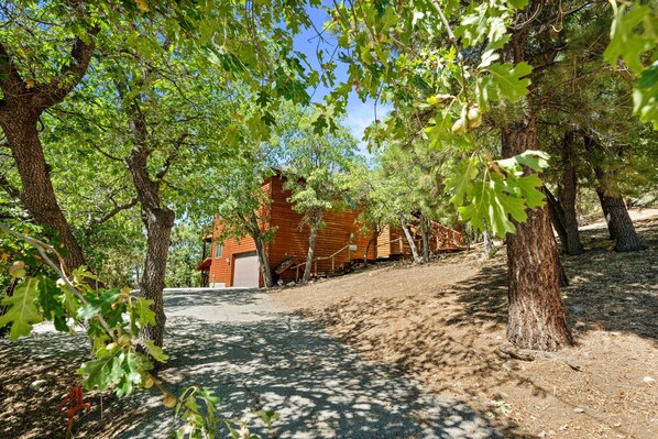 A rustic cabin with a dirt path leading to it, surrounded by trees.