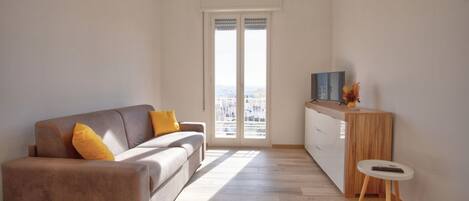 Flat-screen TV