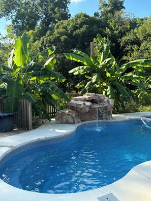 Pool - Toes up Pool house. An amazing Oasis in downtown New Braunfels. (New Braunfels)