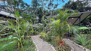 Un sentier de jardin bordé de rochers et de différentes plantes tropicales, menant à un bâtiment doté d’un patio couvert.