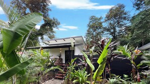 Une maison moderne, entourée d’une végétation tropicale luxuriante et bordée d’un chemin de gravier.