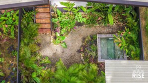 Un jardin sur le toit agrémenté de diverses plantes, une petite terrasse en bois et un élément décoratif aquatique.