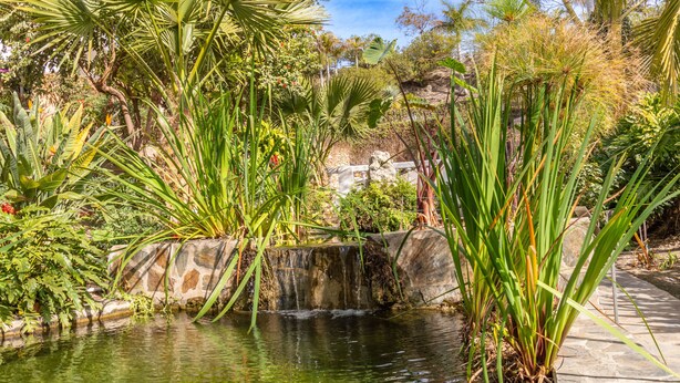 A serene garden with a small waterfall, lush greenery, and a stone pathway. - Baya de Nerja - Oasis Properties (Nerja)