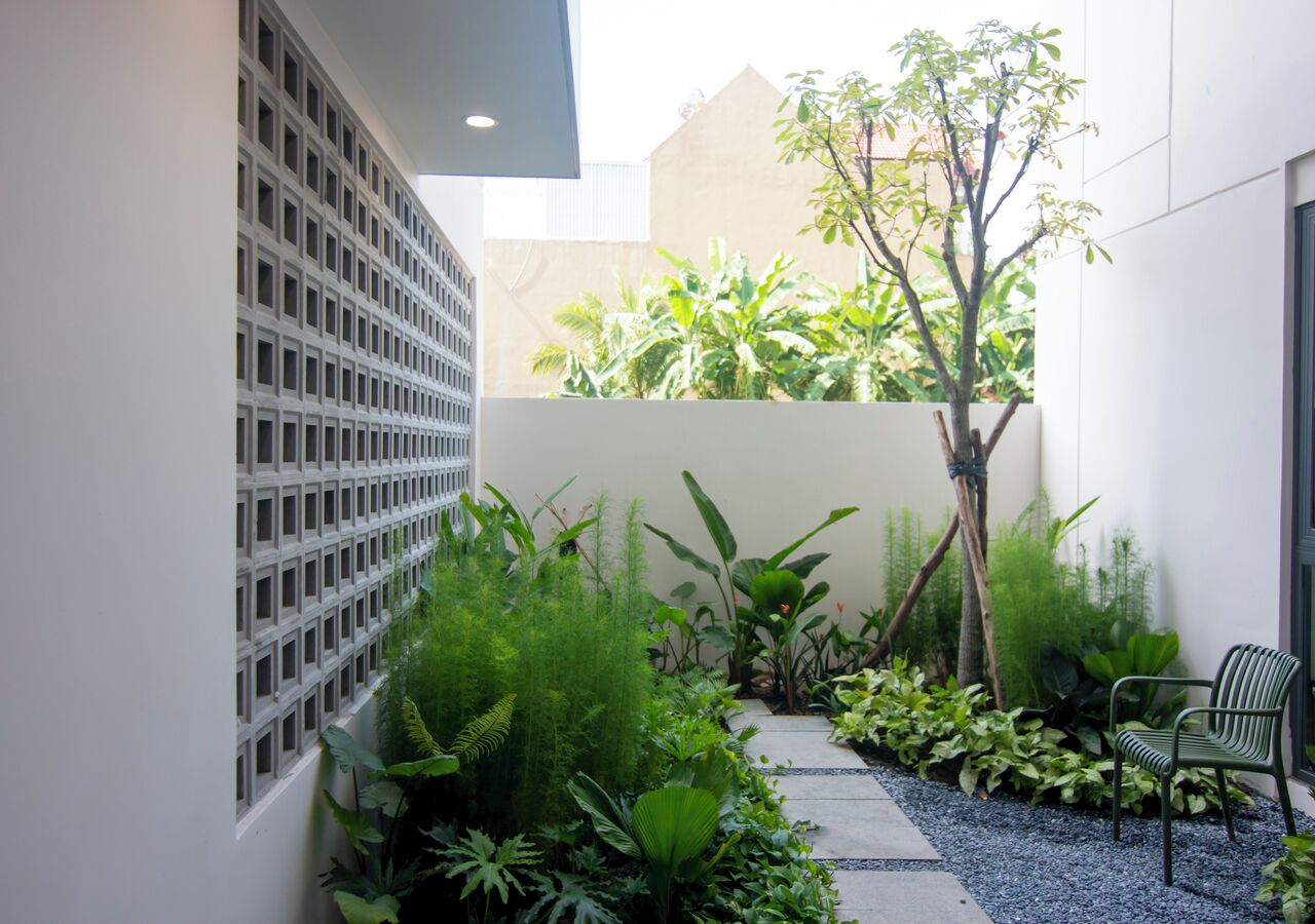 Quang cảnh sân vườn