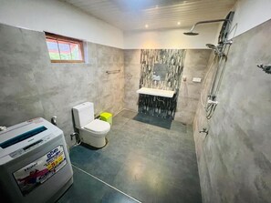 Hair dryer, towels, soap, toilet paper